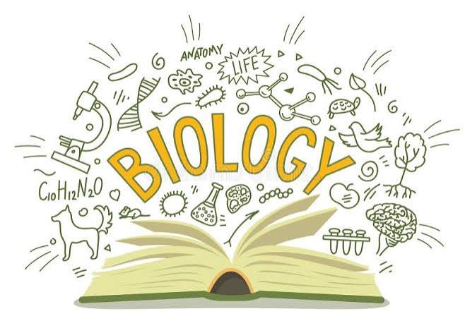 26_Biologi